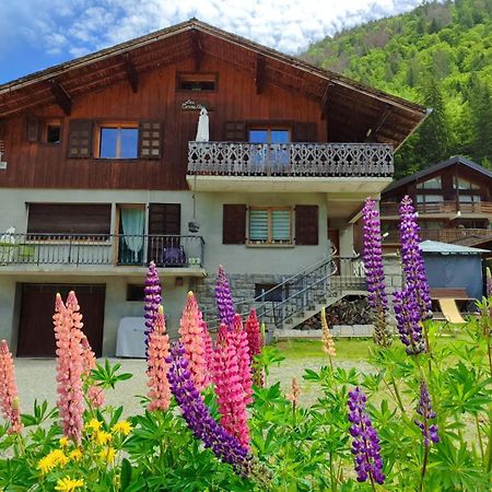 Appartement Meuble Classe 3 Etoiles De 72 M2, 2 Chambres Morzine Exterior foto