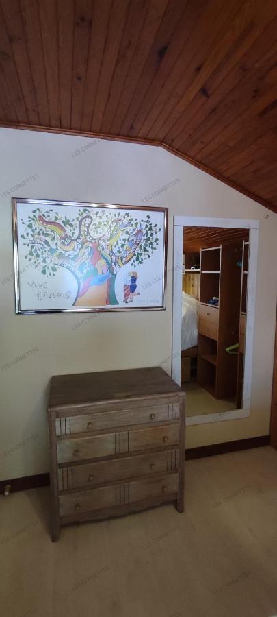Appartement Meuble Classe 3 Etoiles De 72 M2, 2 Chambres Morzine Exterior foto